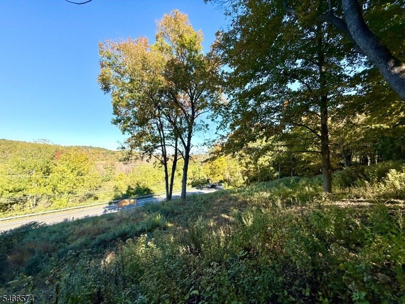 Picture 13