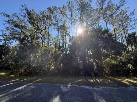 LAND - St Marks, FL