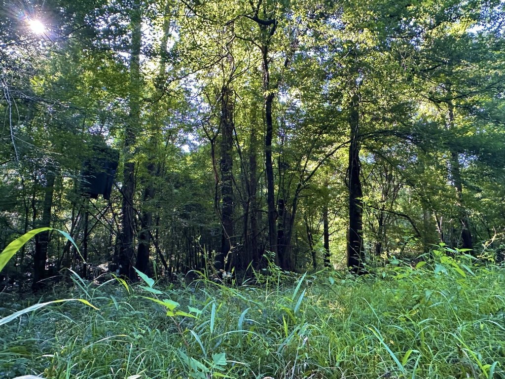 Picture 24