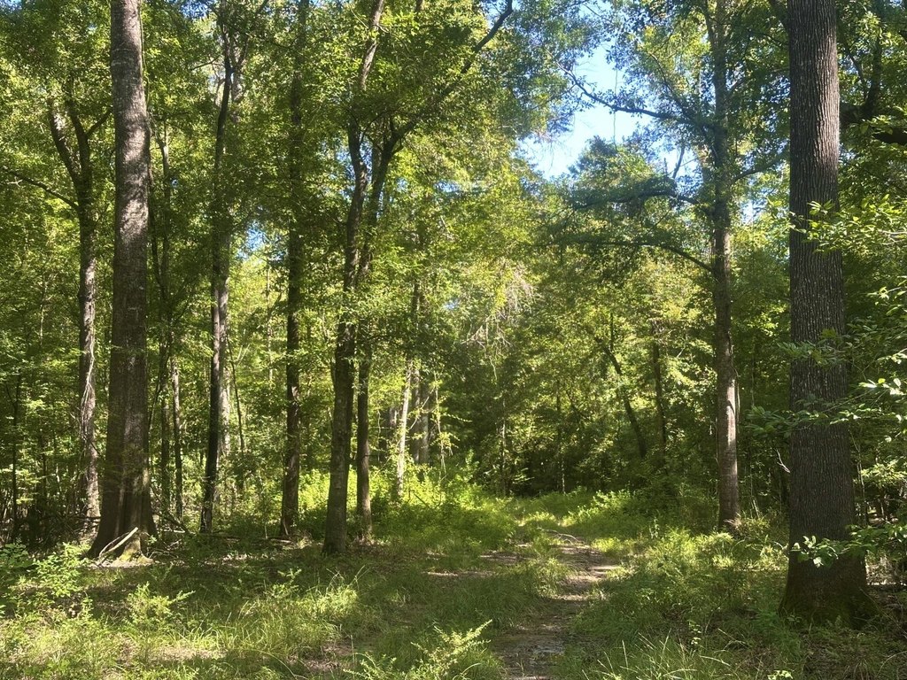 Picture 22