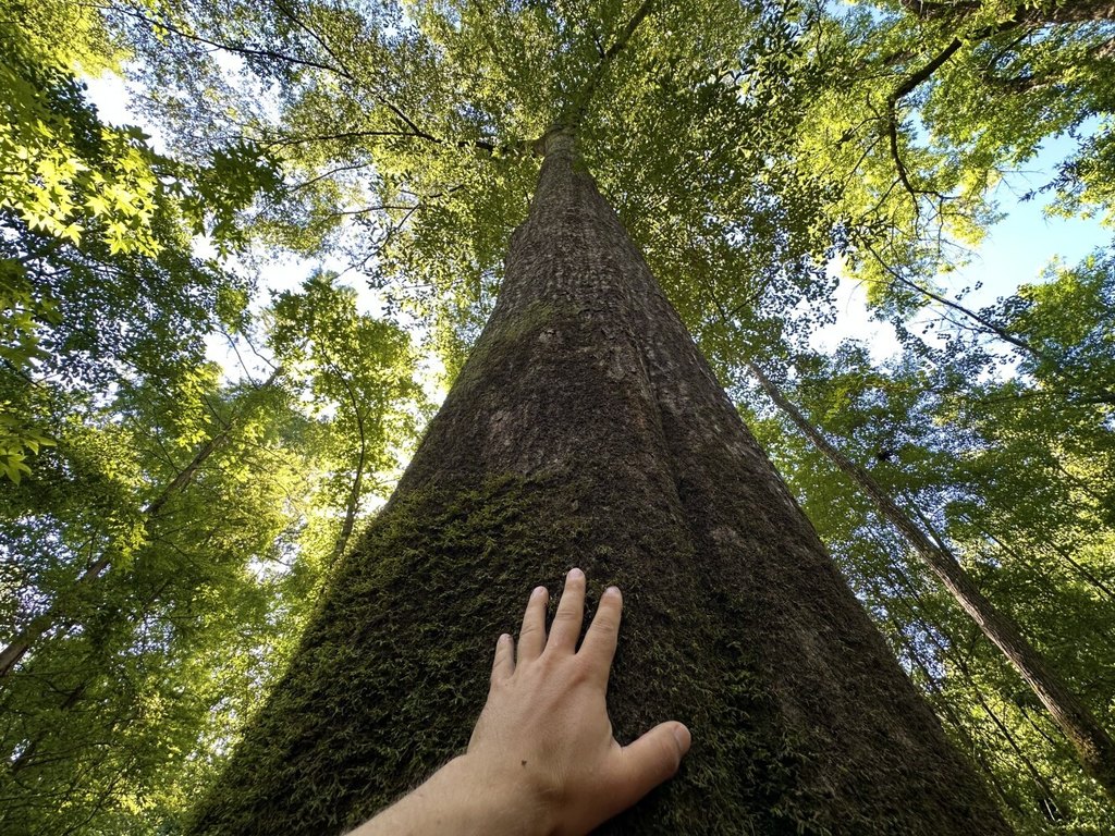 Picture 10