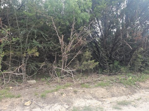 Unimproved Land in Whitney, Texas