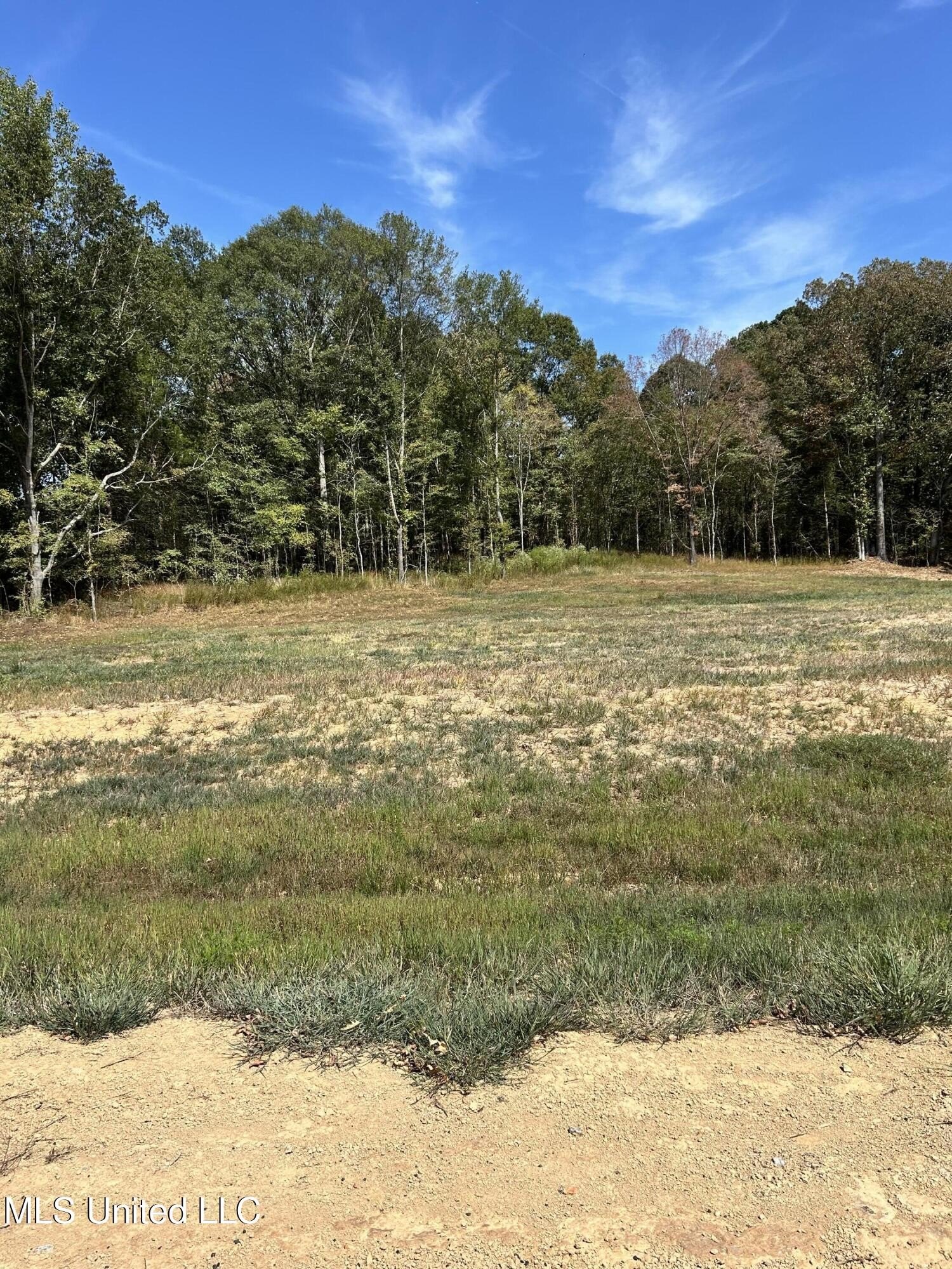 Land in Byhalia, Mississippi