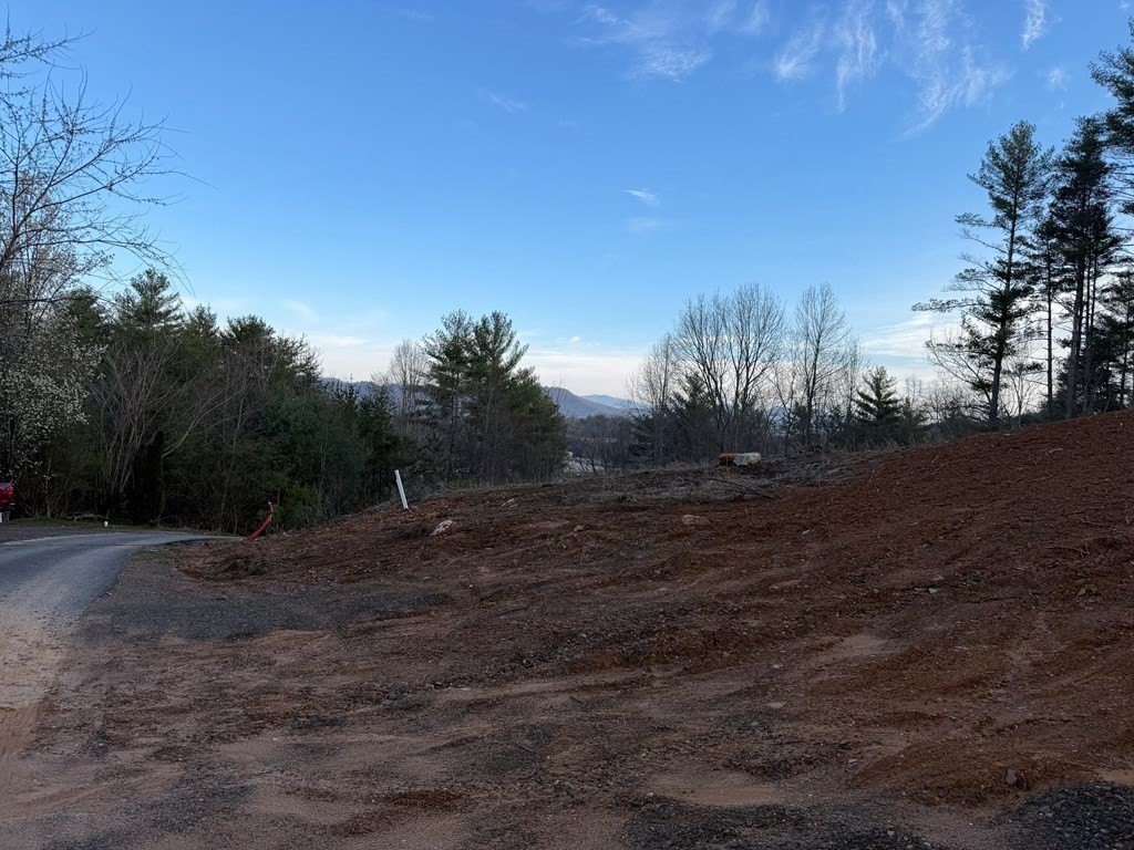 Picture 5