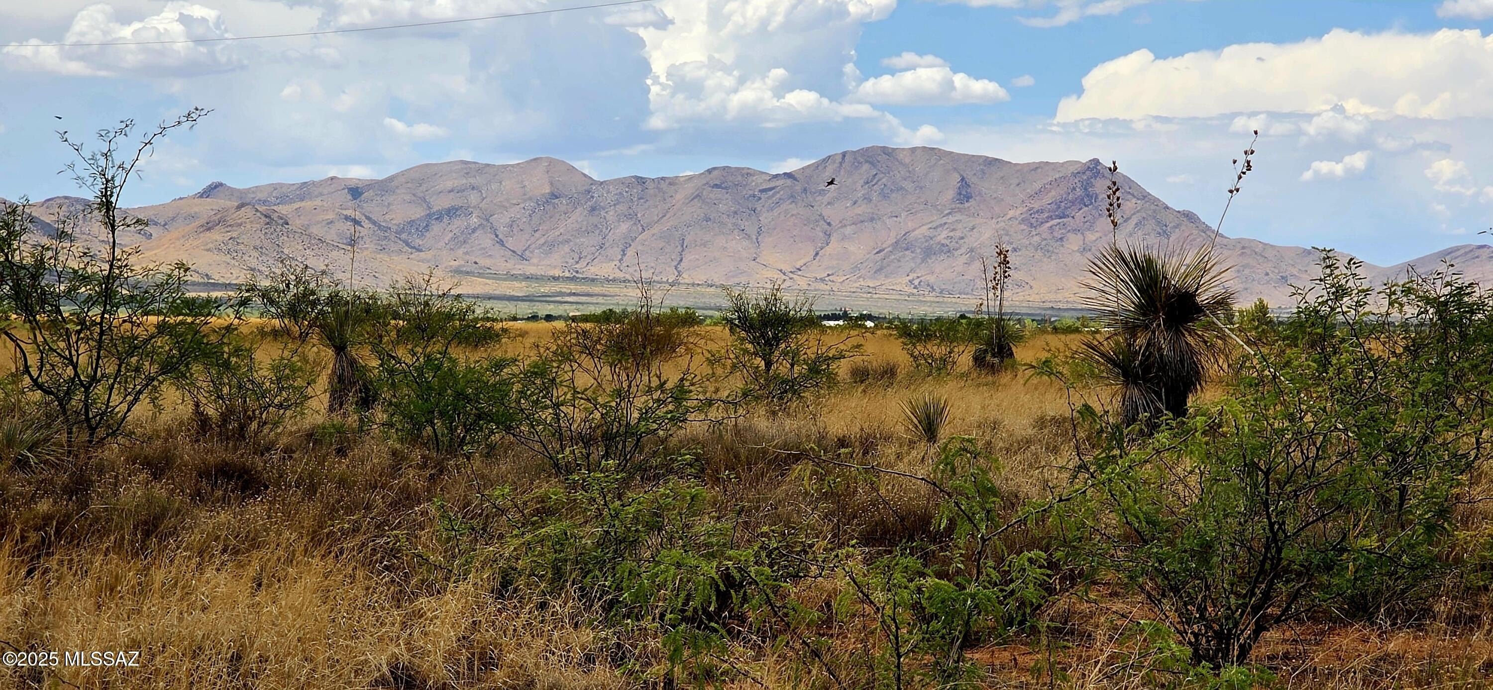 Residential Land in Pearce, Arizona