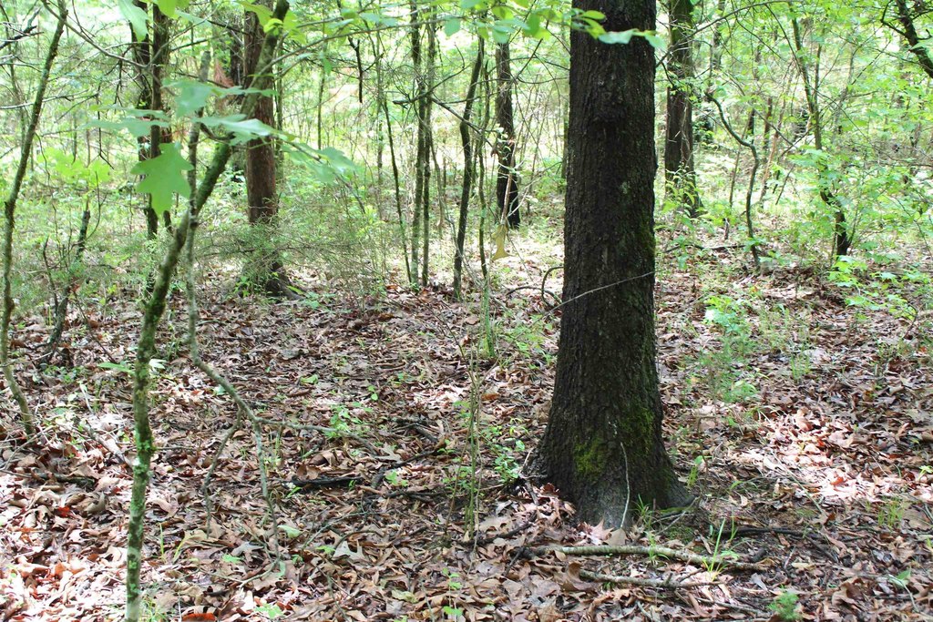 Picture 11