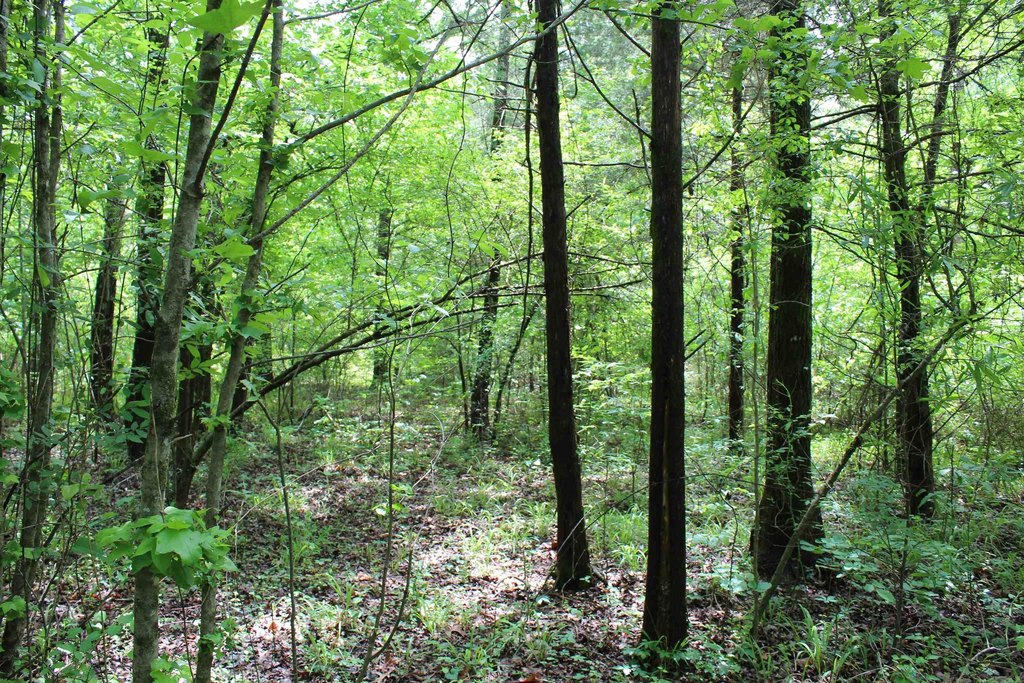 Picture 6