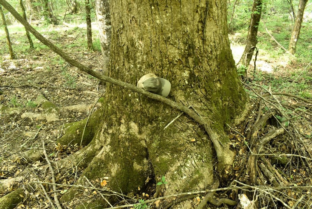 Picture 21
