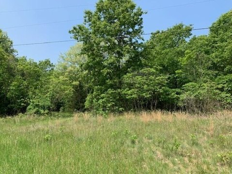 Laketown Township Acreage Near Lake