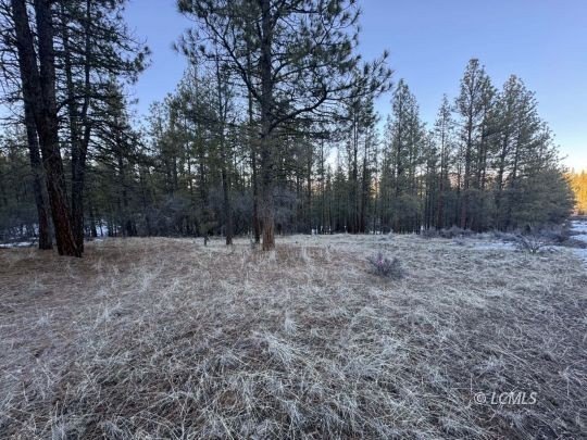 Land Parcel in Beatty, Oregon