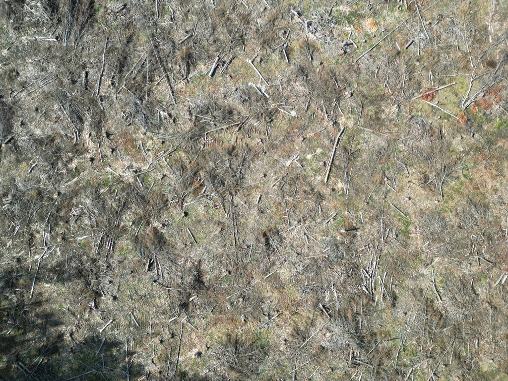 Picture 14