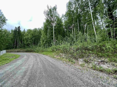 Fairbanks Land with Sloping Lot