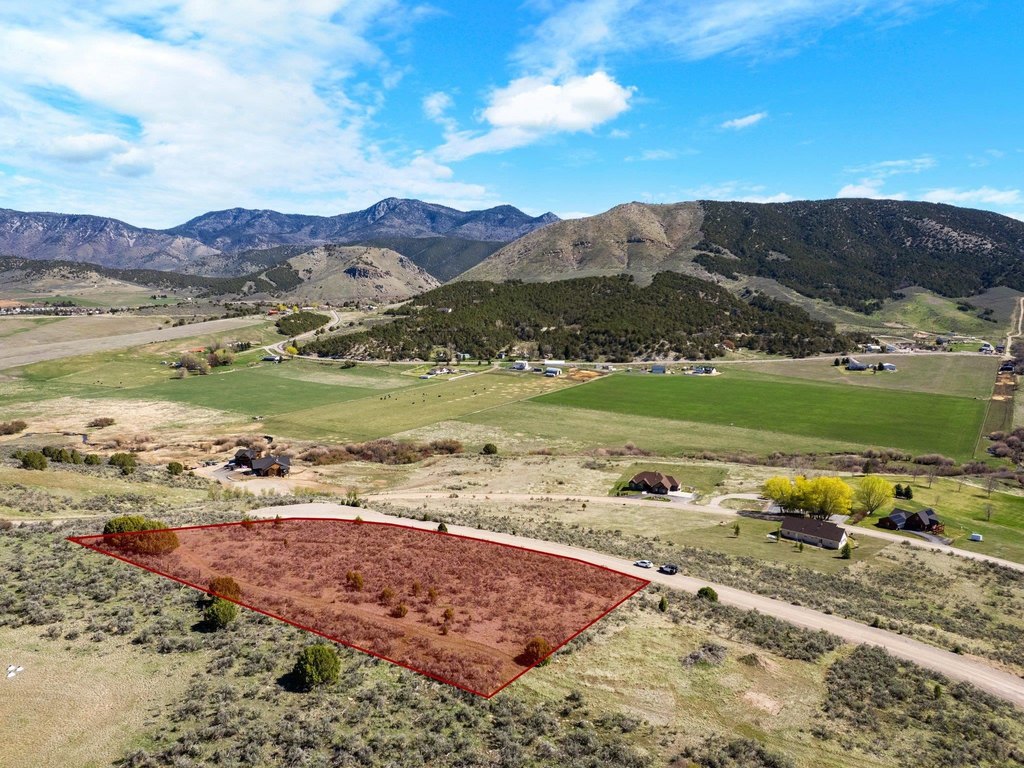 Picture 6