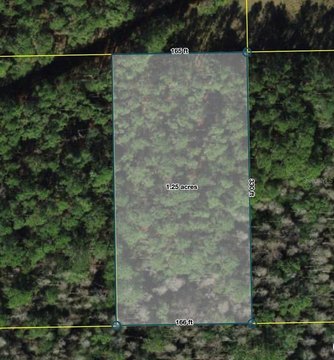LAND - POLK CITY, FL