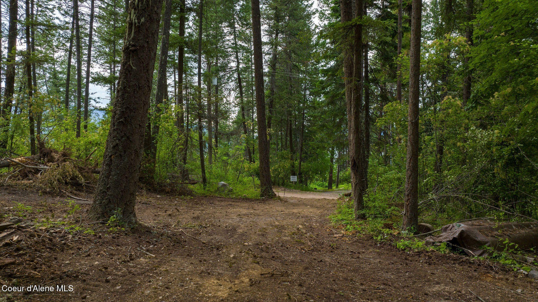 Wooded Lot with Lake Access