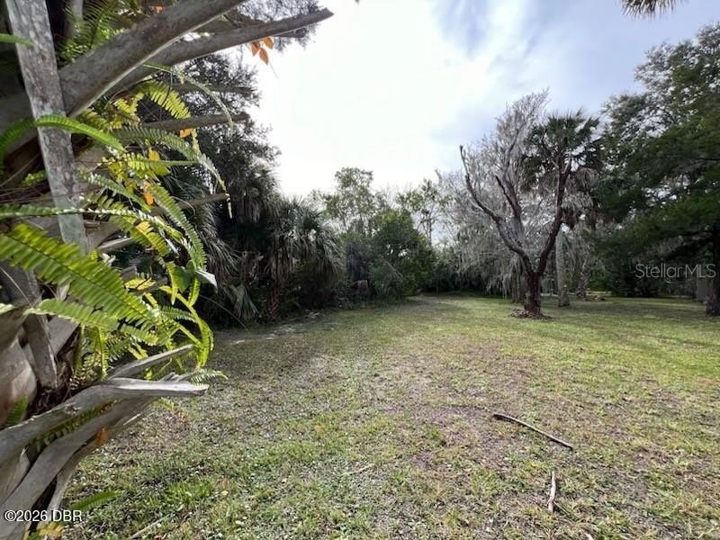 Picture 9