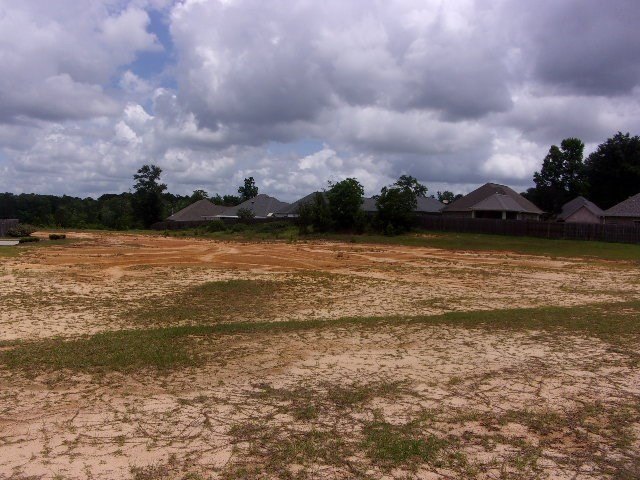 Picture 3
