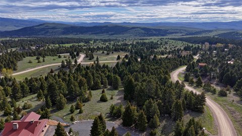 Forested Land in Rock Creek