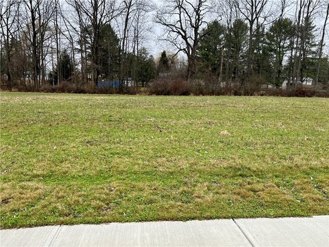Trumansburg Village Building Lot