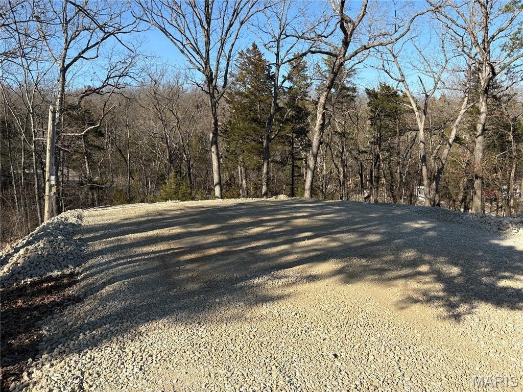Picture 4