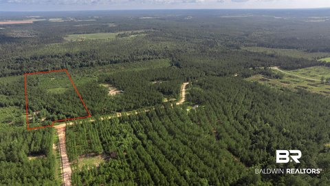 Partially Cleared Recreational Land