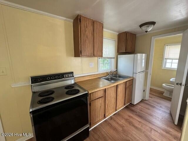Picture 15