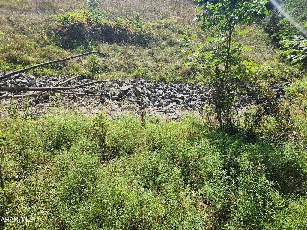 Picture 35