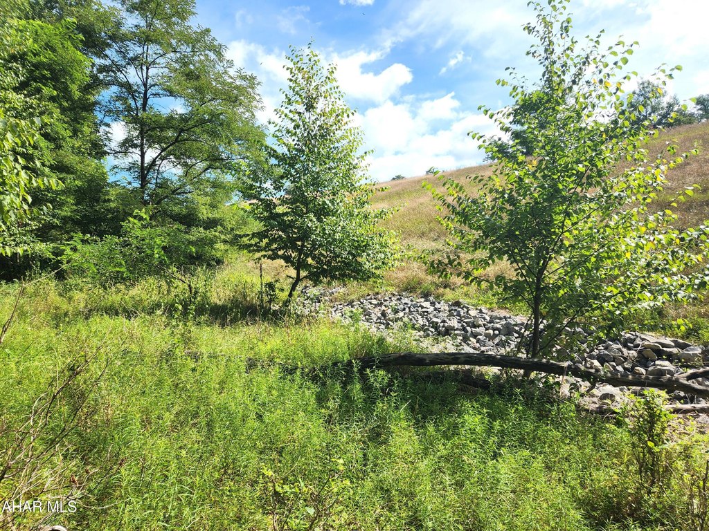 Picture 36
