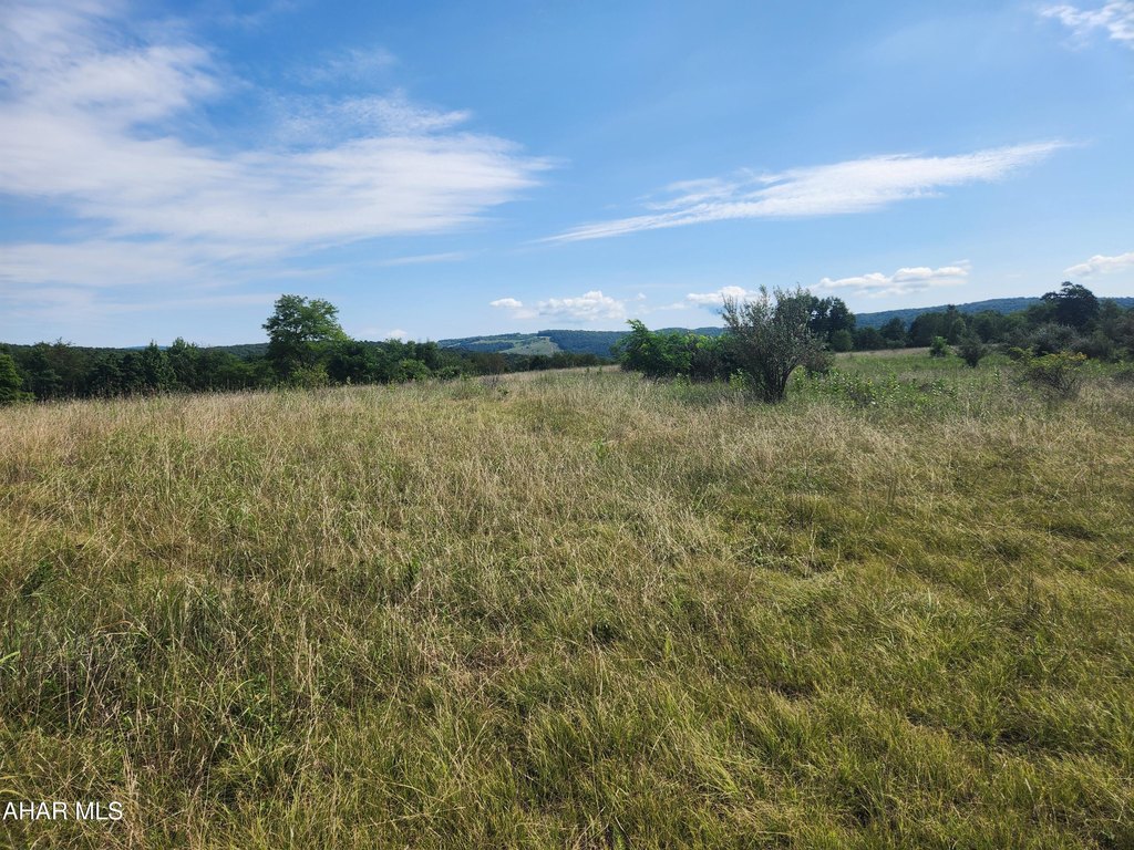 Picture 23