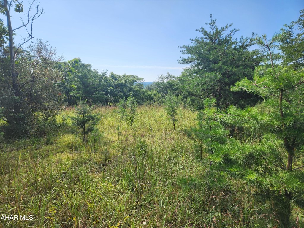 Picture 12