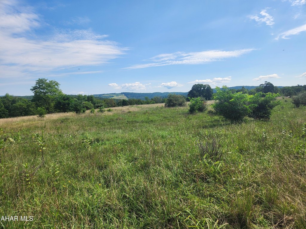 Picture 25