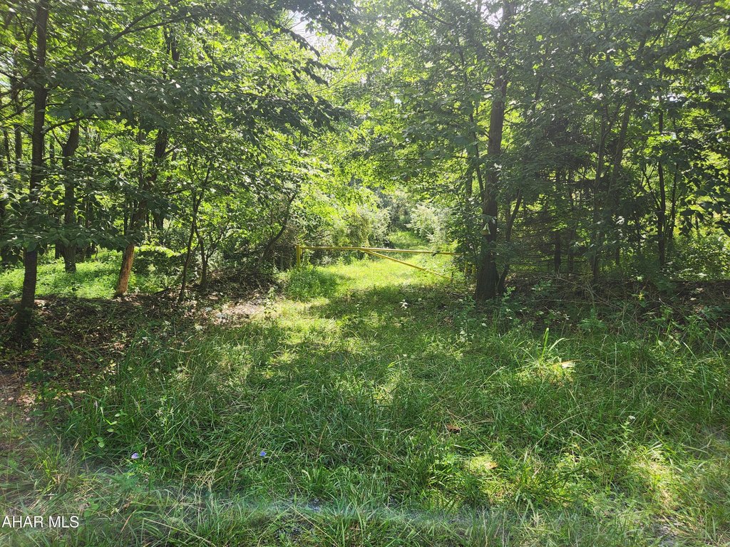 Picture 2