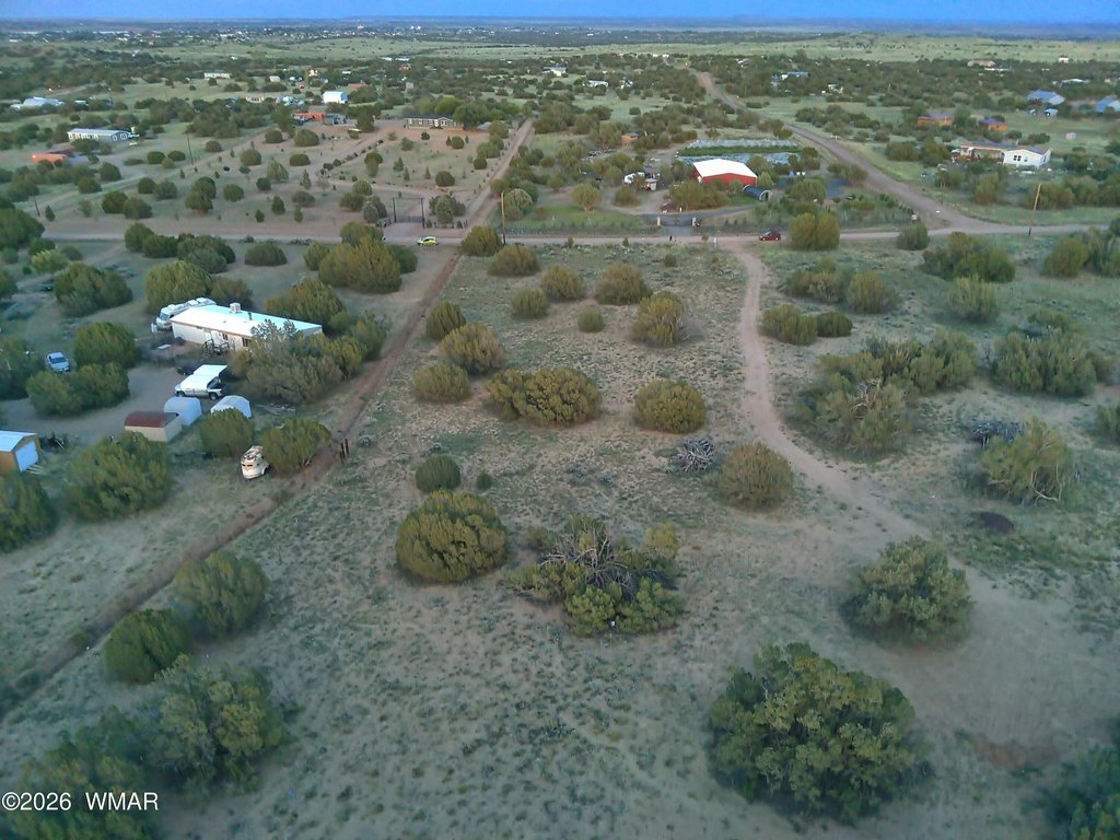 Picture 16