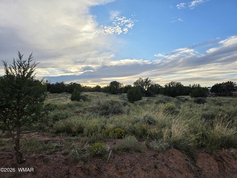 Land, Snowflake, AZ
