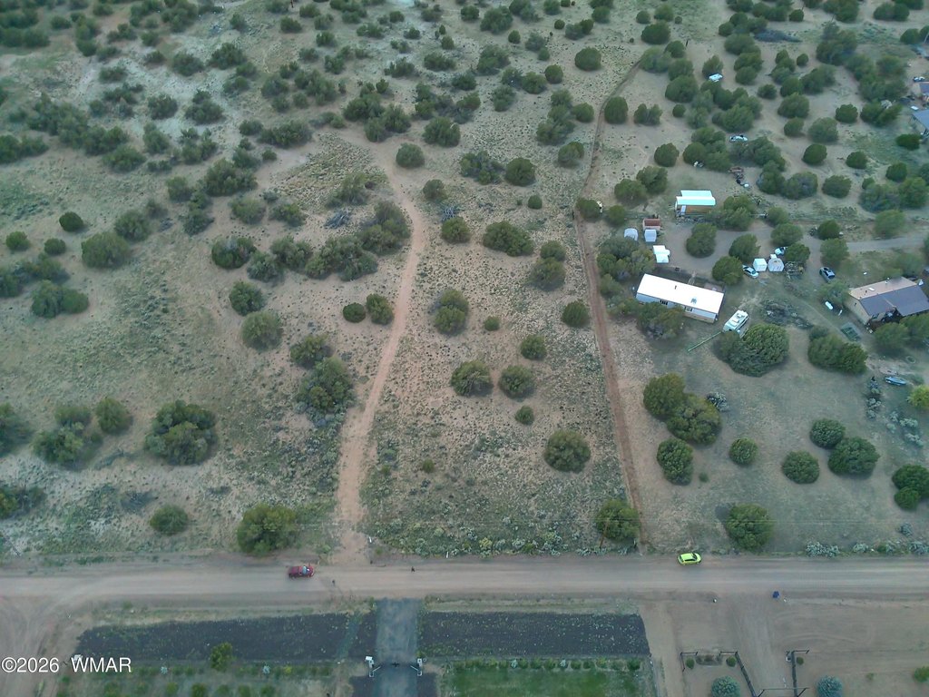 Picture 15