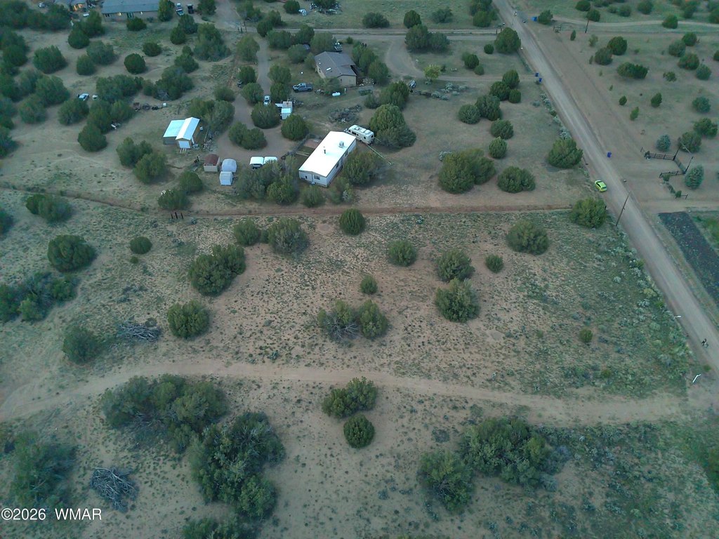 Picture 17