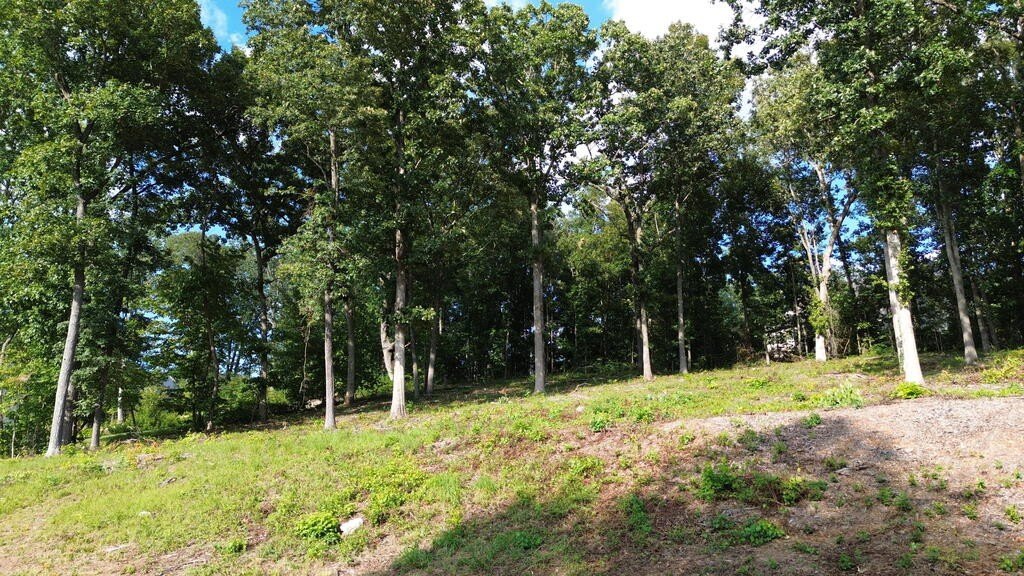 Picture 8