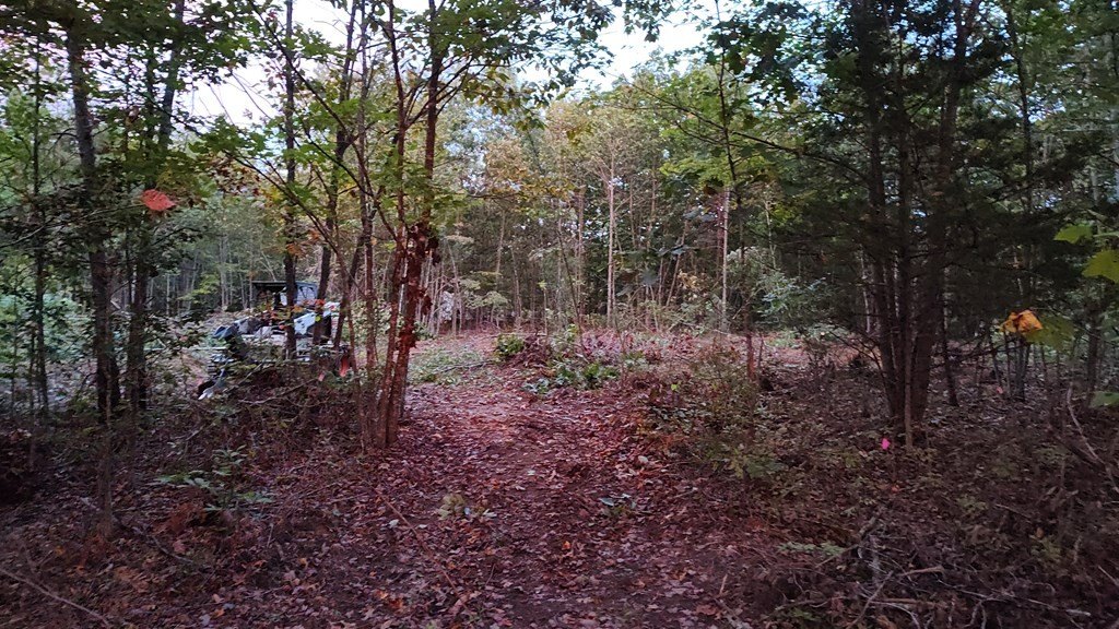 Picture 7
