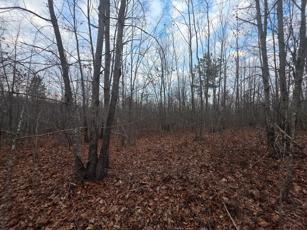 Picture 13