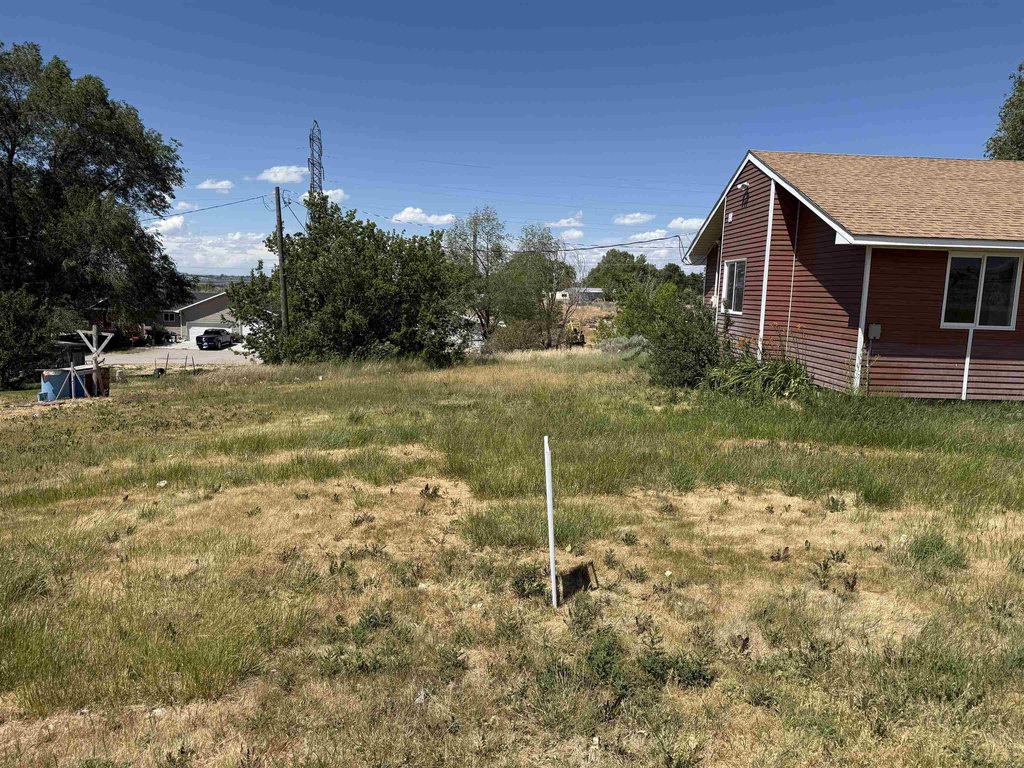 Picture 19