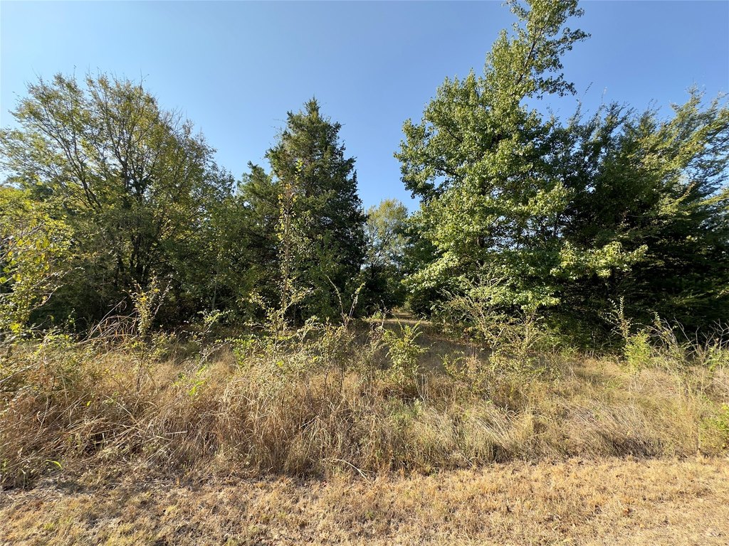 Picture 3