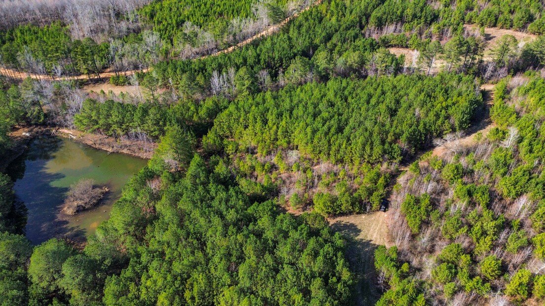 Plantersville Land for Hunting/Investment