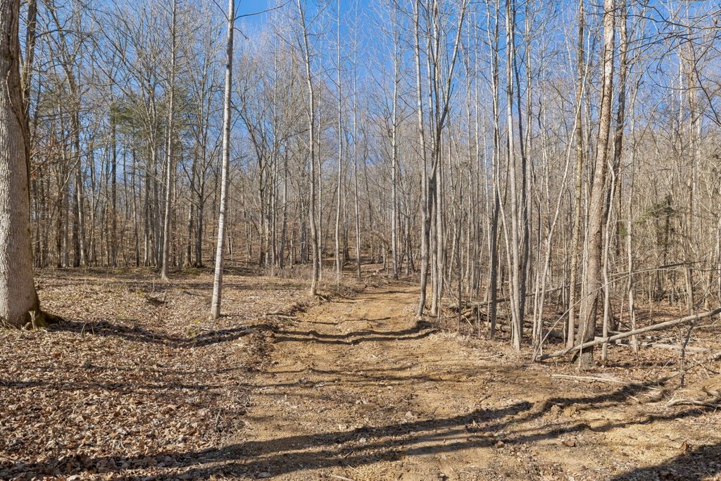Picture 2
