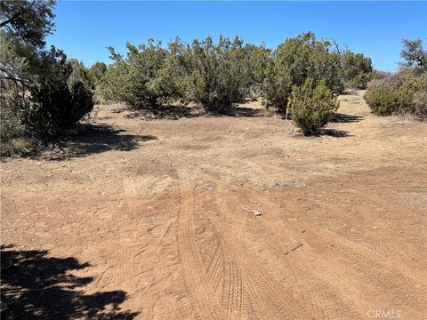 Tehachapi Vacant Land with Storage
