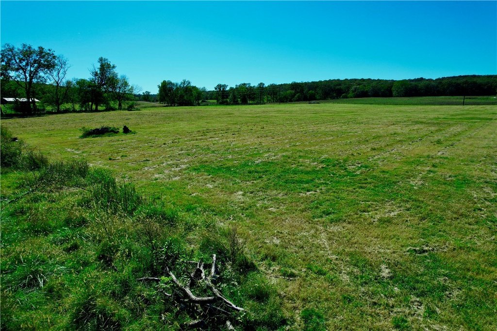 Picture 18