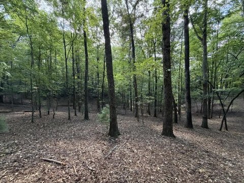 Vacant Lot, Ellijay, GA