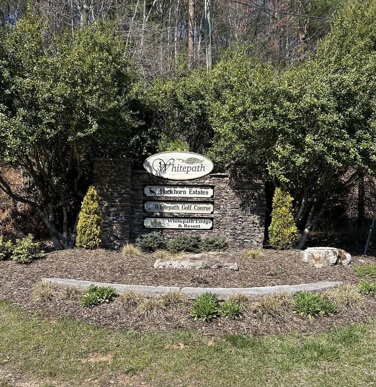 Picture 19