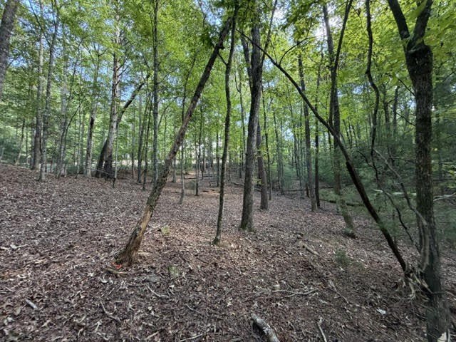 Picture 17