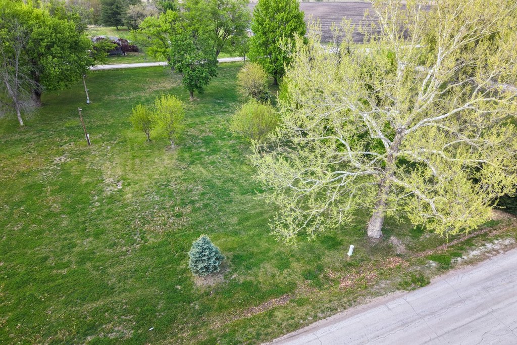 Picture 3