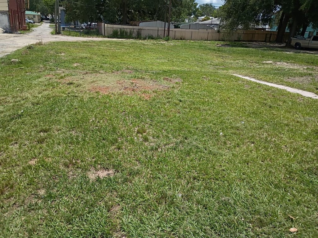 Picture 3